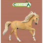 Collecta ������� ������ ����������� ������� - �������� XL 88984b � 3 ���