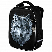 Brauberg ����� Light 1 ��������� � ������� Gray wolf 273111