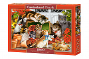 Castorland ����� �����-�����, 1500 ������� 1639/C-151639 � 12 ���
