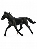 Collecta ������� ������ ��������������� ������ ������� ������ XL 88645b � 3 ���