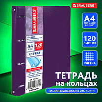 Brauberg ������� �� ������� �4 Joy 120 ������, ��� ����, ������ ����������/������-����������, 404506