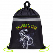 Brauberg ����� ��� ����� � ������, ��������������� ������, 2 ���������, 46�36 �� Tyrannosaur 272399