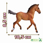 Collecta ������� ������ ��������� ������������ ������ M 88734b � 3 ���