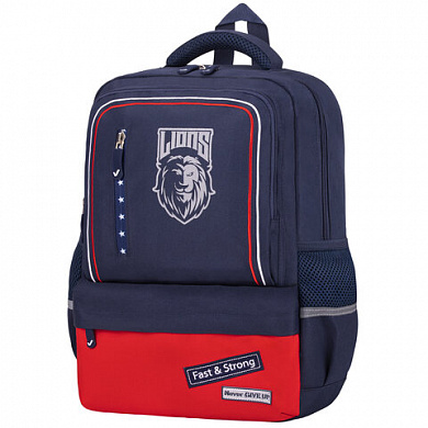 Brauberg ������ �������� Star, 1 ���������, 5 �������� Brave lion 270669