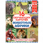 Умка Карточки в папке Животные Африки 16 карт 251384 с 3 лет