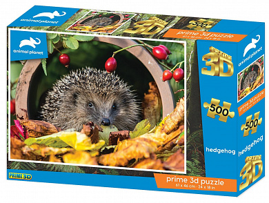 Prime 3D ���� 3D ���� 500 ��������� PR20035 � 6 ���