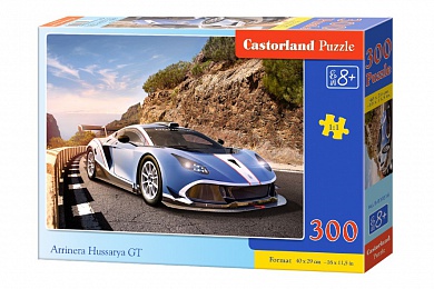 Castorland ���� �������� Arrinera GT 300 ��������� 0316/B7-030016 � 8 ���