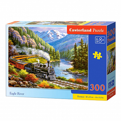 Castorland ���� ������� � ����� 300 ��������� 0293/B7-030293 � 8 ���