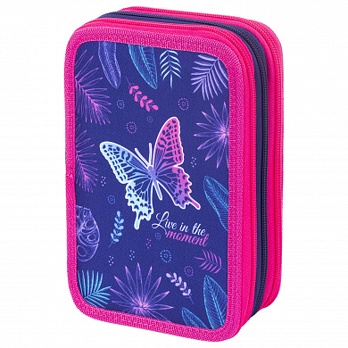 Brauberg  3  2114  Beautiful butterfly 270323