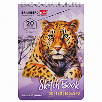 Brauberg �������� ����� ������ 180 �/�2 165�240 �� 20 � Art Classic 112993