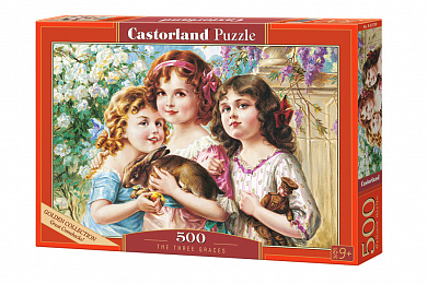 Castorland ���� ��� ������ 500 ��������� 3759/B-53759 � 9 ���