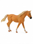 Collecta ������� ������ ������������ ��������������� ������ �������� XL 88662b � 3 ���