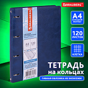 Brauberg ������� �� ������� �4 Main 120 ������, ��� ����, ������ �����, 404510