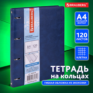 Brauberg ������� �� ������� �4 Main 120 ������, ��� ����, ������ �����, 404510