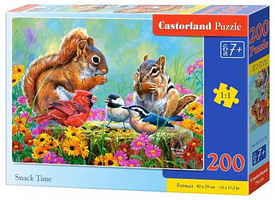 Castorland ���� ����� �������� 200 ��������� 2179/B10-222179 � 7 ���
