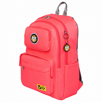 Brauberg ������ ���������� Light 27 � ����-���������� 270298