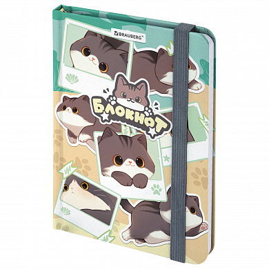 Brauberg ������� � �������� � ������ 96 � �6 �����-����� ����� ���� 116991