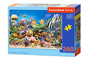 Castorland ����-midi ����� ������ 260 ��������� 7279/B2-27279 � 5 ���
