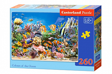 Castorland ����-midi ����� ������ 260 ��������� 7279/B2-27279 � 5 ���