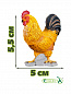 Collecta ����� ����� 4 ������� 89263 � 3 ���
