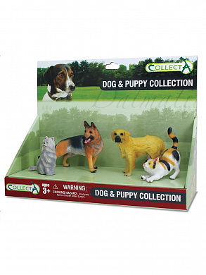 Collecta ����� ����� � ������ 4 �� 89667 � 3 ���