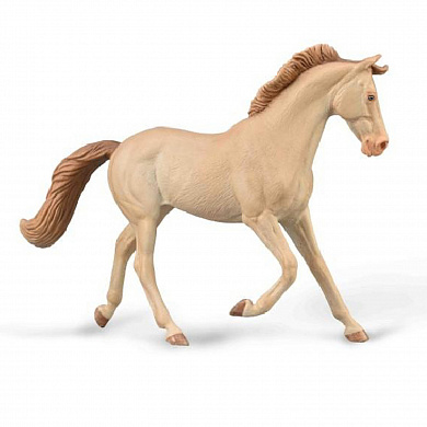 Collecta ������� ������ ������������ - ������� ������ XL 88985b � 3 ���