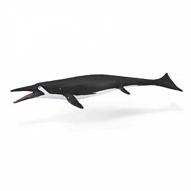 Collecta ������� �������� ��������� L 88974b � 3 ���