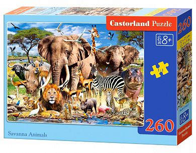 Castorland ����-midi �������� ������� 260 ��������� 7545/B2-27545 � 5 ���