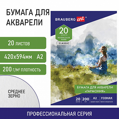 Brauberg ����� ��� �������� �2 20 � �������� 200 � ������ Art Classic 113211
