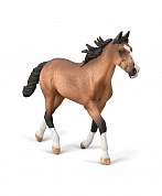 Collecta ������� ������ ��������������� ������� �������� ���������� XL 80004b � 3 ���