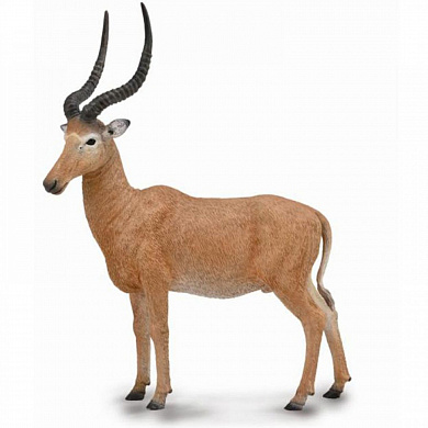 Collecta ������� ����� ������� ������ L 88757b � 3 ���