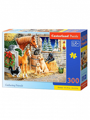 Castorland ���� �������� 300 ��������� 0255/B7-030255 � 8 ���