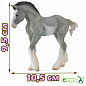Collecta ������� ������ ��������� ��������������� ������ ����� M 88626b � 3 ���