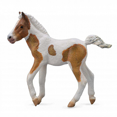Collecta ������� ������ ��������� ����������� ��������� M 88735b � 3 ���