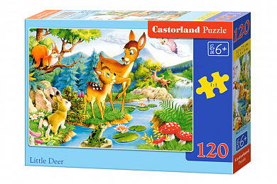 Castorland ����� ����� 120 ������� (�6-12176) � 6 ���