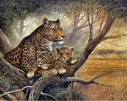 Картина по номерам Семья леопардов Роспись по холсту 40х50 см BFB0647 с 8 лет