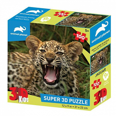 Prime 3D ���� ��������� ����� 100 ������� PR13702-D � 5 ���