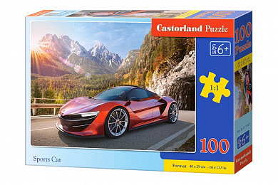Castorland ���� �������� 100 ��������� 1107/B9-111107 � 6 ���