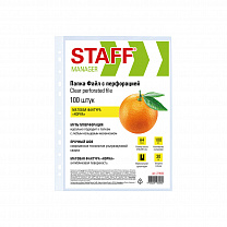 Staff �����-����� ��������������� �4 ������ 100 �� ������� 30 ��� 273002