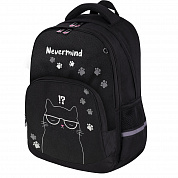 Brauberg ������ Soft 2 ��������� 3 ������� Tough cat ���������� 274401