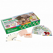 Brauberg ����� ��� �������� ����� ��������, 12 �����, ��������, �����������, Kids 665128