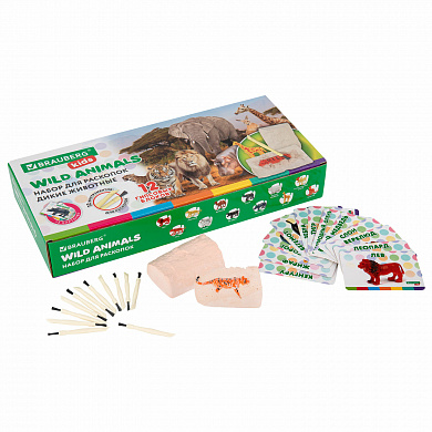 Brauberg ����� ��� �������� ����� ��������, 12 �����, ��������, �����������, Kids 665128