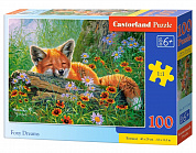 Castorland ����� ����� ����� 100 ������� 1244/B9-111244 � 6 ���