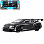������������ ������� Bentley Continental GT3 Concept ������ 1:24 ������ J�1251565 � 3 ���