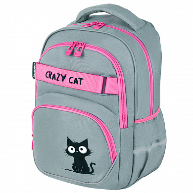 Brauberg ������ Motion 2 ��������� 3 ������� Crazy cat 273115