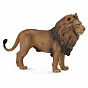 Collecta ������� ��� ����������� L 88782b � 3 ���
