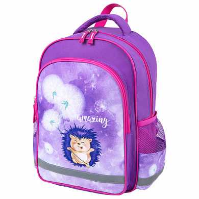 ������� ������ �������� School, 1 ���������, 3 ������� Hedgehog 270655