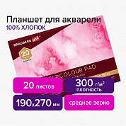 Brauberg ������� ��� �������� ������ 100% 300 �, 190�270 �� 4 �������, ������� �����, 20 � Art Premi