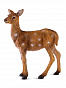 Collecta ������� �������� S 5,5 �� 88471b � 3 ���