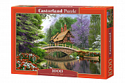 Castorland ���� ��� � ���� 1000 ��������� 2365/C-102365 � 10 ���